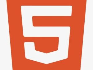 MuuCmf T6 开发使用手册